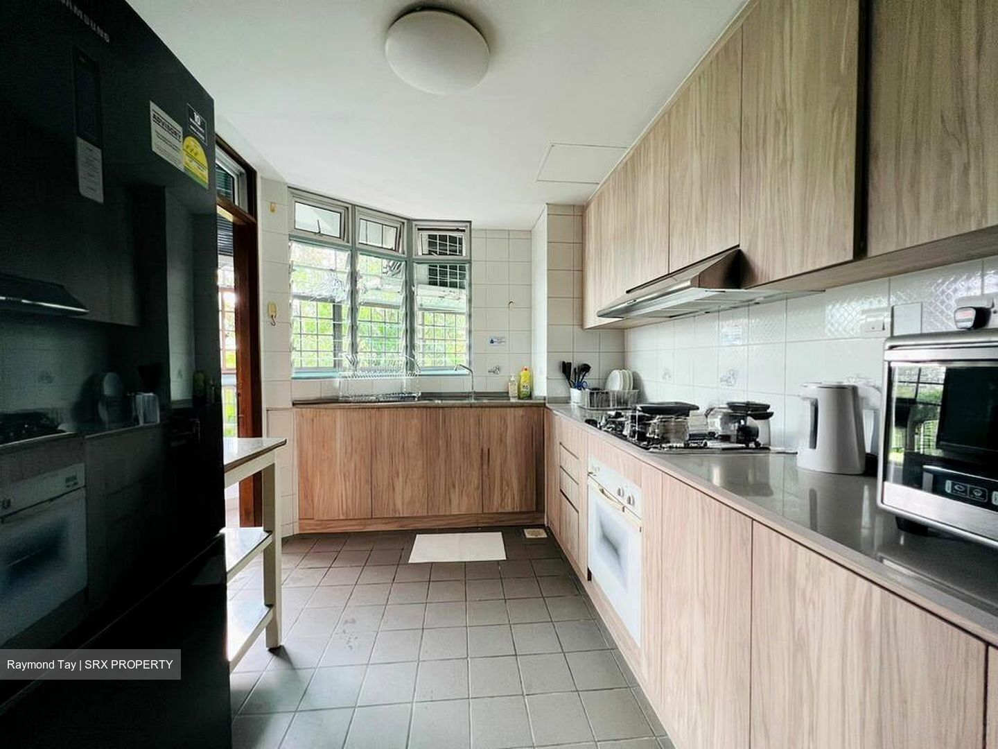 Astor Green (D21), Condominium #508232771